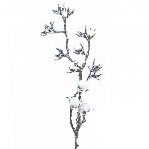 Floristik24 Branche de coton artificielle fleurs en coton avec neige 79cm