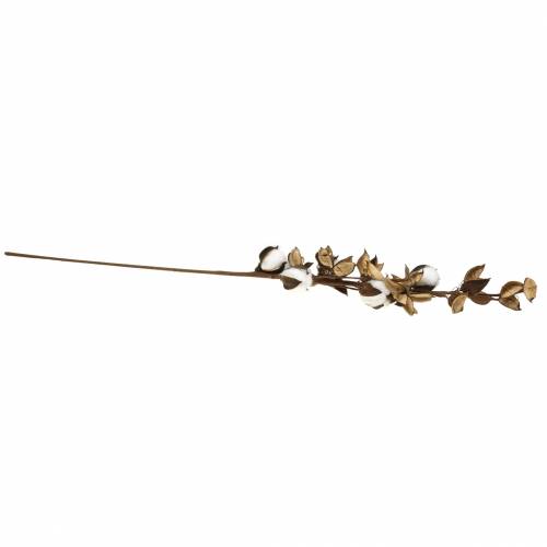 Floristik24 Branche de coton 75cm