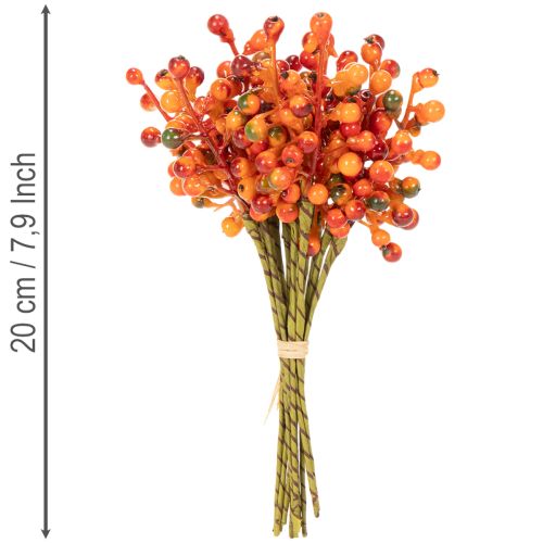 Grappe de baies orange, 20 cm de long | Floristik24.fr