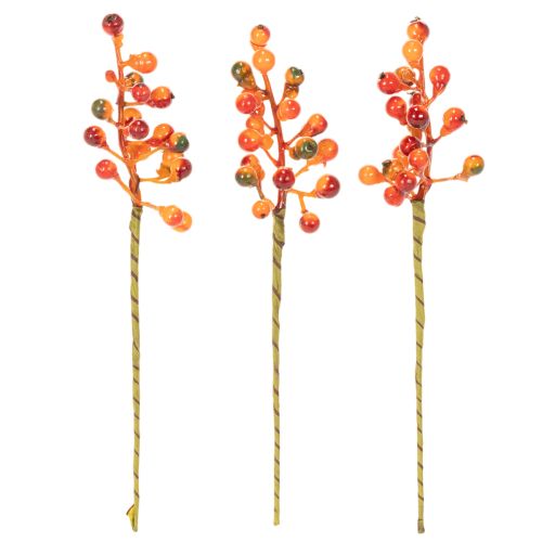 Grappe de baies orange, 20 cm de long | Floristik24.fr