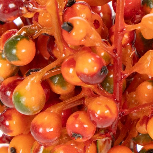 Grappe de baies orange, 20 cm de long | Floristik24.fr