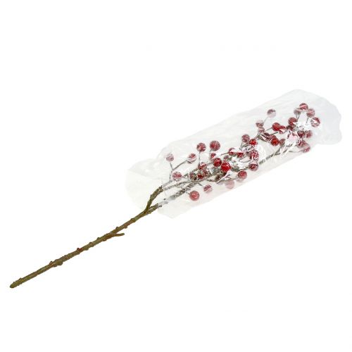 Floristik24 Branche de baies rouge glacée 52cm