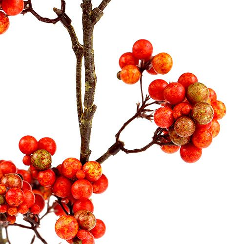 Floristik24 Branche de baies orange L50cm 4pcs