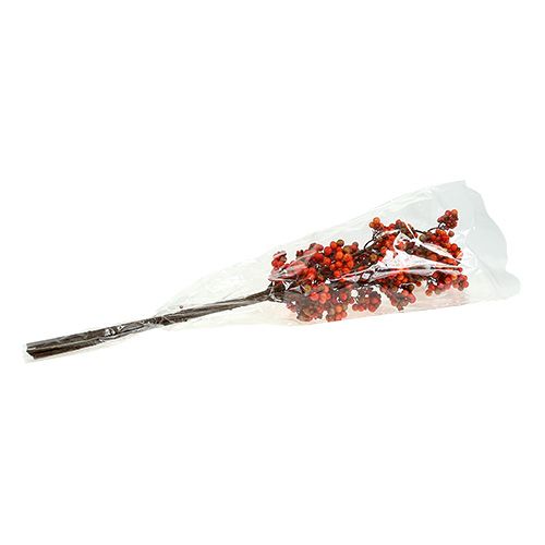 Floristik24 Branche de baies orange L50cm 4pcs