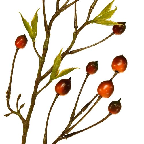 Floristik24 Branche de baie artificielle rouge branche artificielle déco branche 82cm