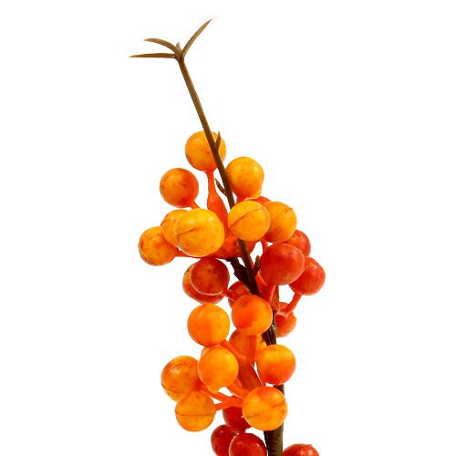 Floristik24 Branche de baies orange L 30cm 12pcs