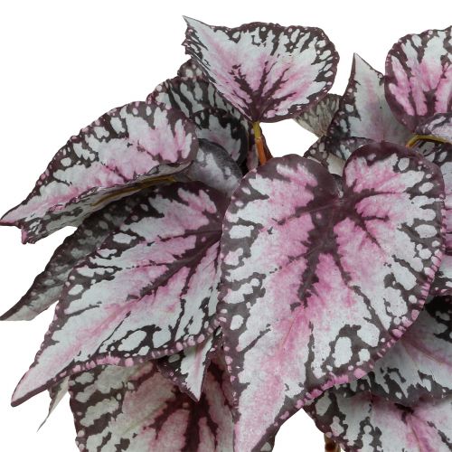 Floristik24 Buisson de bégonia artificiel Bordeaux 37cm