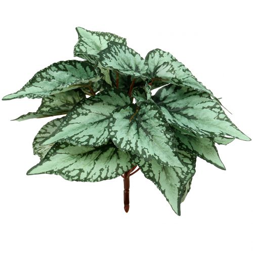 Floristik24 Bégonia artificiel buisson plante artificielle vert 34cm