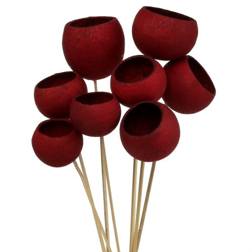 Floristik24 Bell Cup Mix sur bâtonnet rouge foncé 15pcs