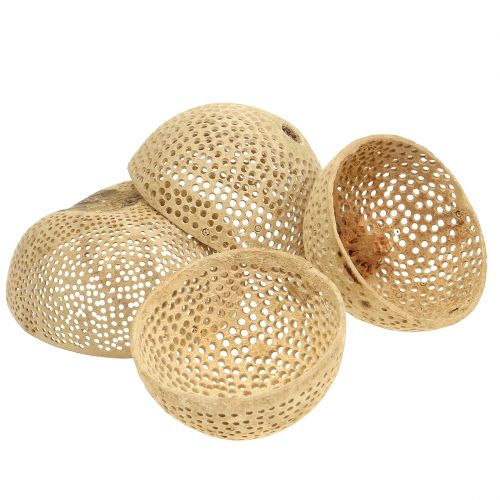 Floristik24 Coupe Cloche de Fruits Secs Décoration de Deuil Naturelle 8,5-11 cm 10 pcs