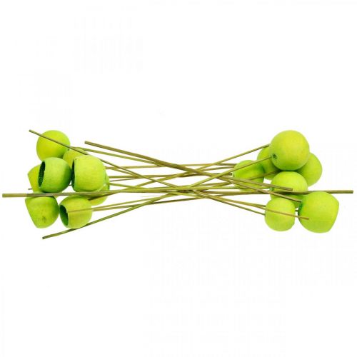 Article Coupe cloche sur bâton Vert Exotiques séchés 15 pcs