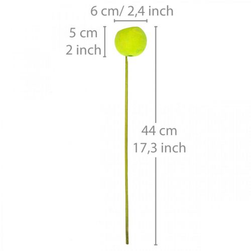 Article Coupe cloche sur bâton Vert Exotiques séchés 15 pcs