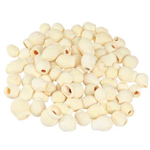 Article Bellgum fruits de cloche séchés blanchis 2,5-3,5 cm 500g