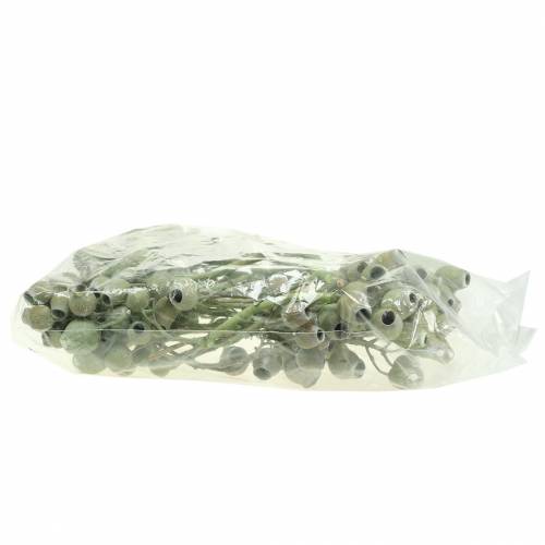 Article Branche de Bellgum Déco séchée 5-7cm Vert blanchi 20 pcs