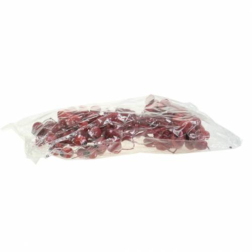 Article Branche de Bellgum séchée 5-7 cm Rouge, blanchie 20 pcs
