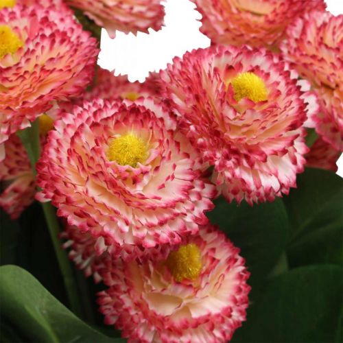 Article Fleur artificielle, bellis artificiels en bouquet, marguerites blanc-rose L32cm 10 pièces