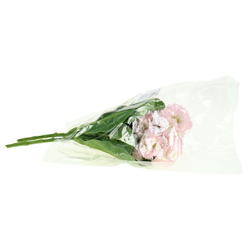 Floristik24 Bouquet de pâquerettes rose clair 24 cm 2 p.