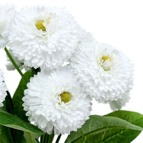 Floristik24 Bouquet Bellis blanc 24cm 3pcs