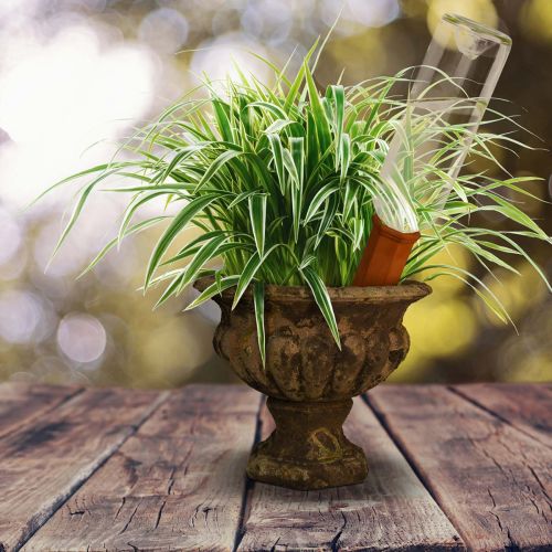 Cône d’arrosage pour bouteille en terre cuite, 18 cm, pour plantes en pot | Floristik24.fr