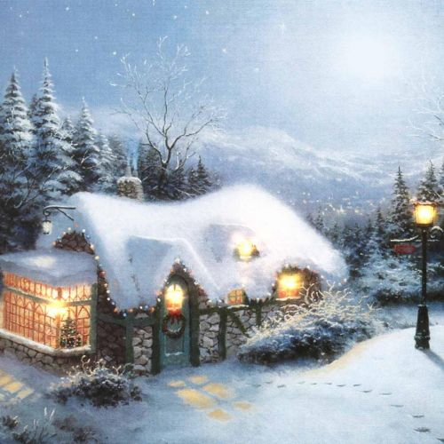 Floristik24 Paysage d&#39;hiver mural LED avec maison 38×28cm Pour batterie