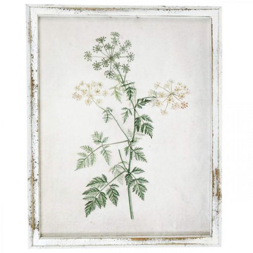 Floristik24 Décoration murale vintage, tableau avec cadre bois plante séchée 40×50cm