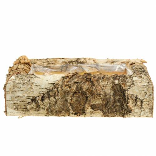 Floristik24 Jardinière Bouleau 30cm x 20cm H8cm