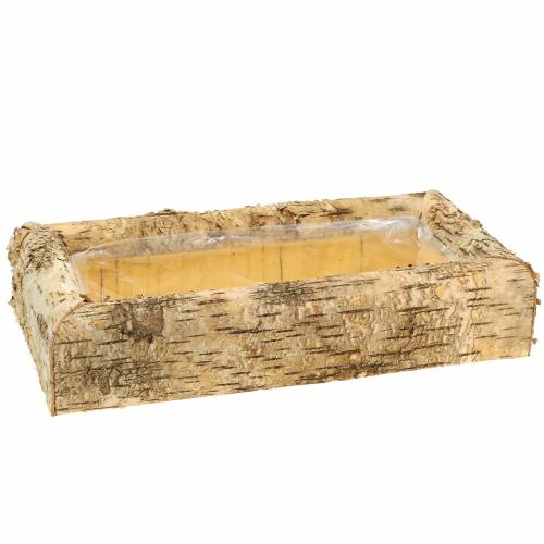 Jardinière Bouleau 40cm x 20cm H8,5cm Jardinière Bouleau 40cm x 20cm H8,5cm