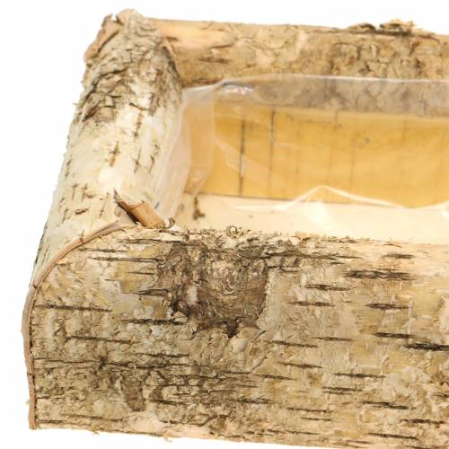 Jardinière Bouleau 40cm x 20cm H8,5cm