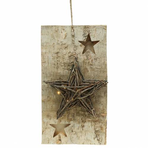 Floristik24 Panneau de Noël bouleau avec étoile LED / piles 40cm
