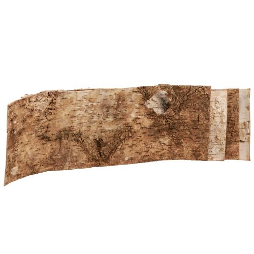 Floristik24 Bandes d'écorce décoratives en écorce de bouleau blanc naturel 48×15cm 6 pièces