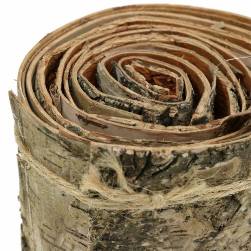 Floristik24 Ruban écorce de bouleau naturel L2m l10cm