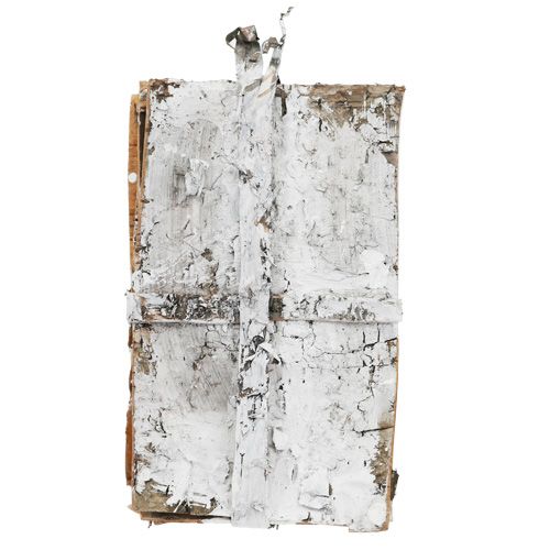 Floristik24 Tranches d'écorce 20 cm x 12 cm blanches, lavées 8 pièces