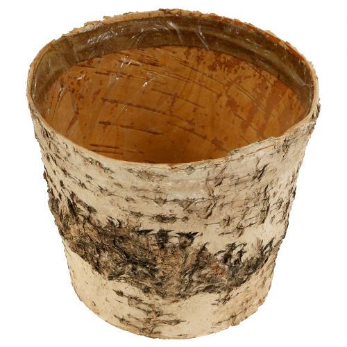 Article Pot bouleau Ø15cm H13cm