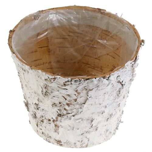 Article Pot avec écorce de bouleau blanchie cache-pot Ø15cm H12,5cm 3pcs