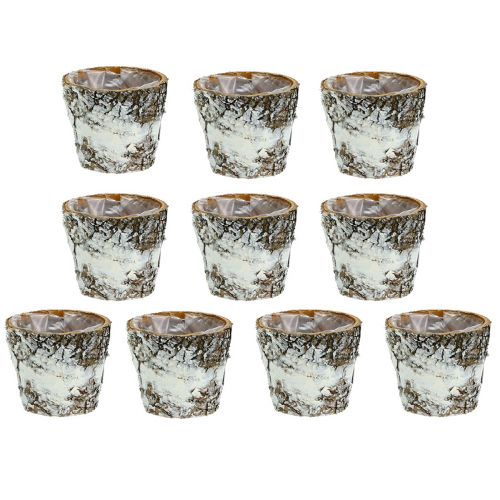 Article Pot bouleau mini cache-pot blanc Ø7cm H7cm 10pcs