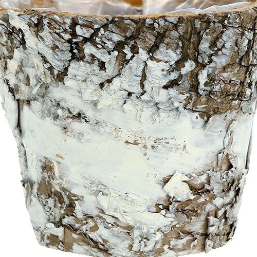 Article Pot bouleau mini cache-pot blanc Ø7cm H7cm 10pcs