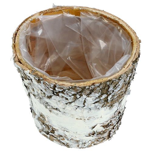 Article Pot bouleau mini cache-pot blanc Ø7cm H7cm 10pcs