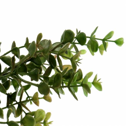 Article Branche décorative en buis vert 40cm