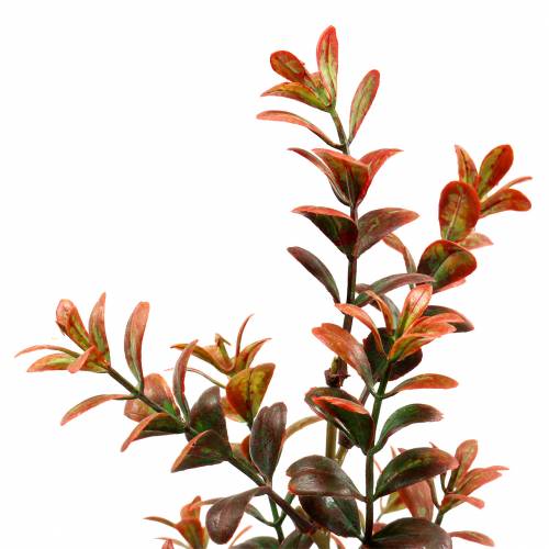 Floristik24 Branche déco buis automnale 50cm