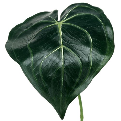 Floristik24 Feuille de caladium 32cm 2pcs
