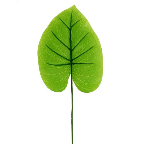 Floristik24 Feuille décorative Funkie, Hosta 40cm 5pcs