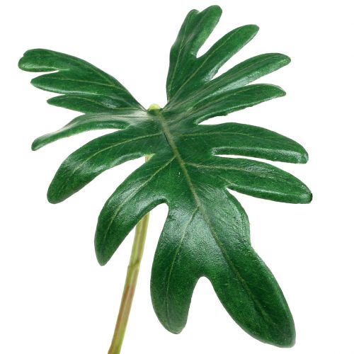 Feuille Philodendron 31cm Vert 12 pcs