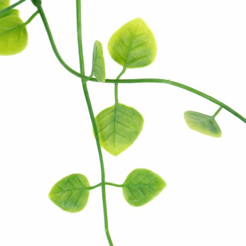Floristik24 Guirlande de feuilles 87cm verte artificielle 2 brins