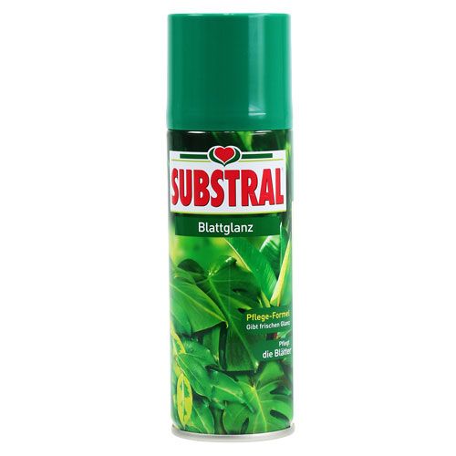 Floristik24 Brillant à feuilles 200ml