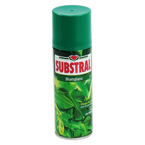 Floristik24 Brillant à feuilles 200ml