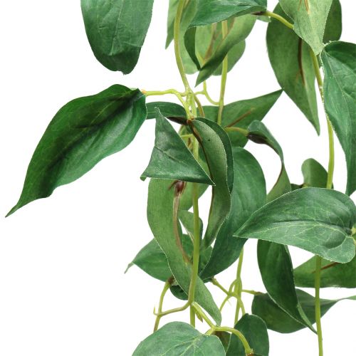 Floristik24 Porte feuille vert 160cm