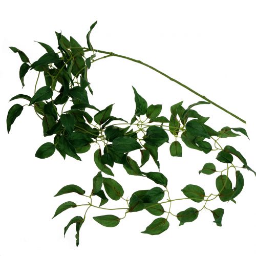 Porte feuille vert 160cm