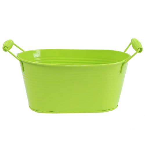 Plat en étain ovale vert pomme 20cm x 12cm x 9cm Plat en étain ovale vert pomme 20cm x 12cm x 9cm