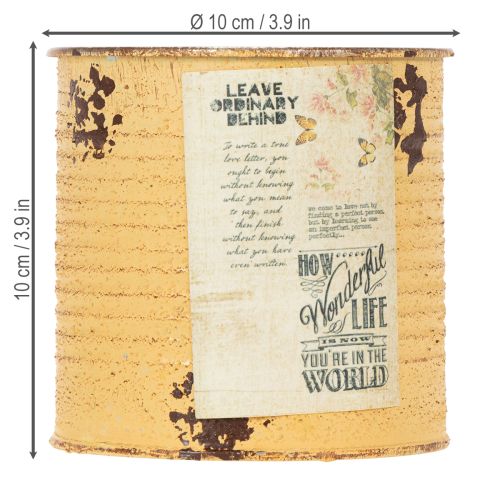 Article Pot de fleurs décoratif en métal couleur abricot, boîte en fer-blanc, Ø 11 cm, H 10,5 cm