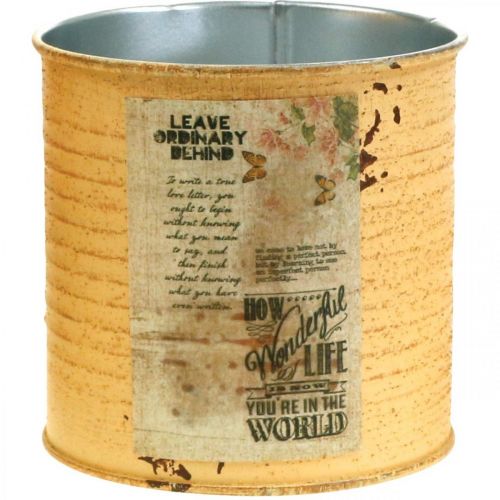 Article Pot métal décoration abricot métal Ø11cm H10.5cm